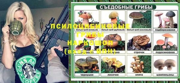 стафф Абинск