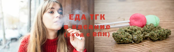 хмурый Гусь-Хрустальный