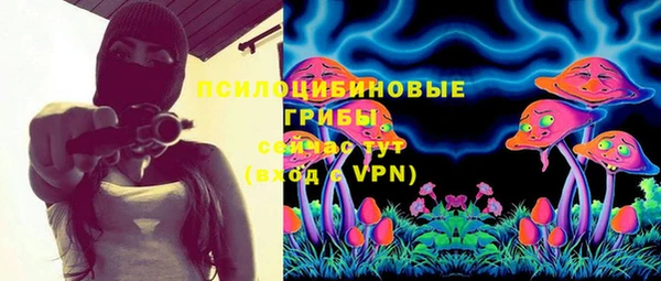 стафф Абинск
