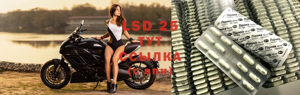 стафф Абинск