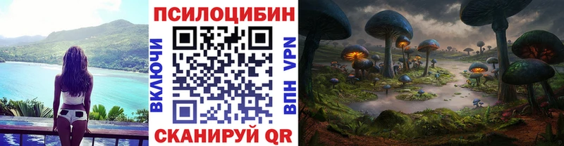 Псилоцибиновые грибы Magic Shrooms Ессентукская